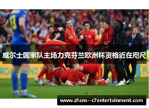 威尔士国家队主场力克芬兰欧洲杯资格近在咫尺